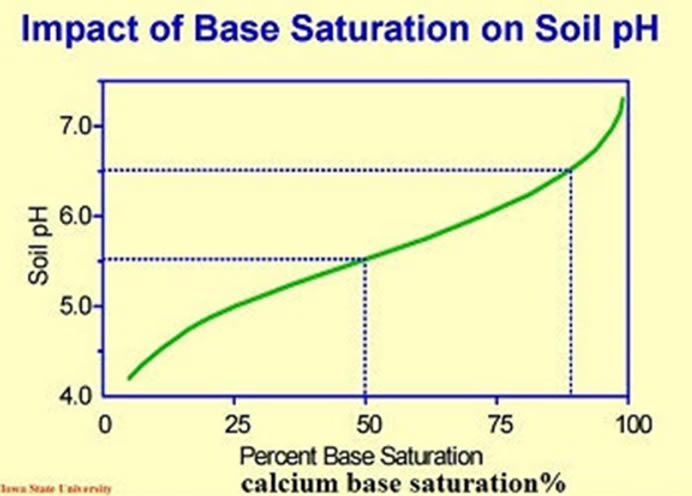 Base Saturation on Soil pH