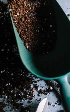 Soil Test