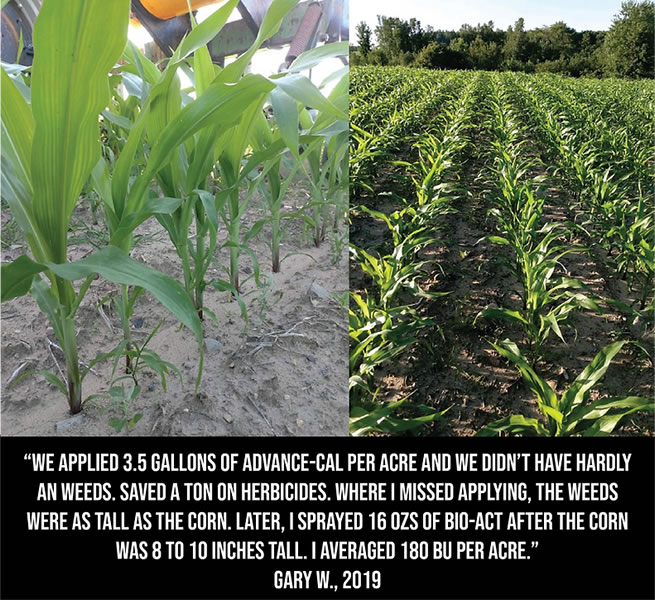 corn-test2