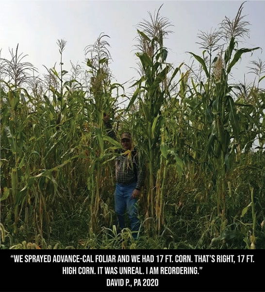corn-test3