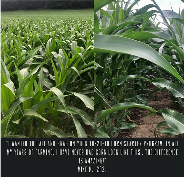 corn-test4