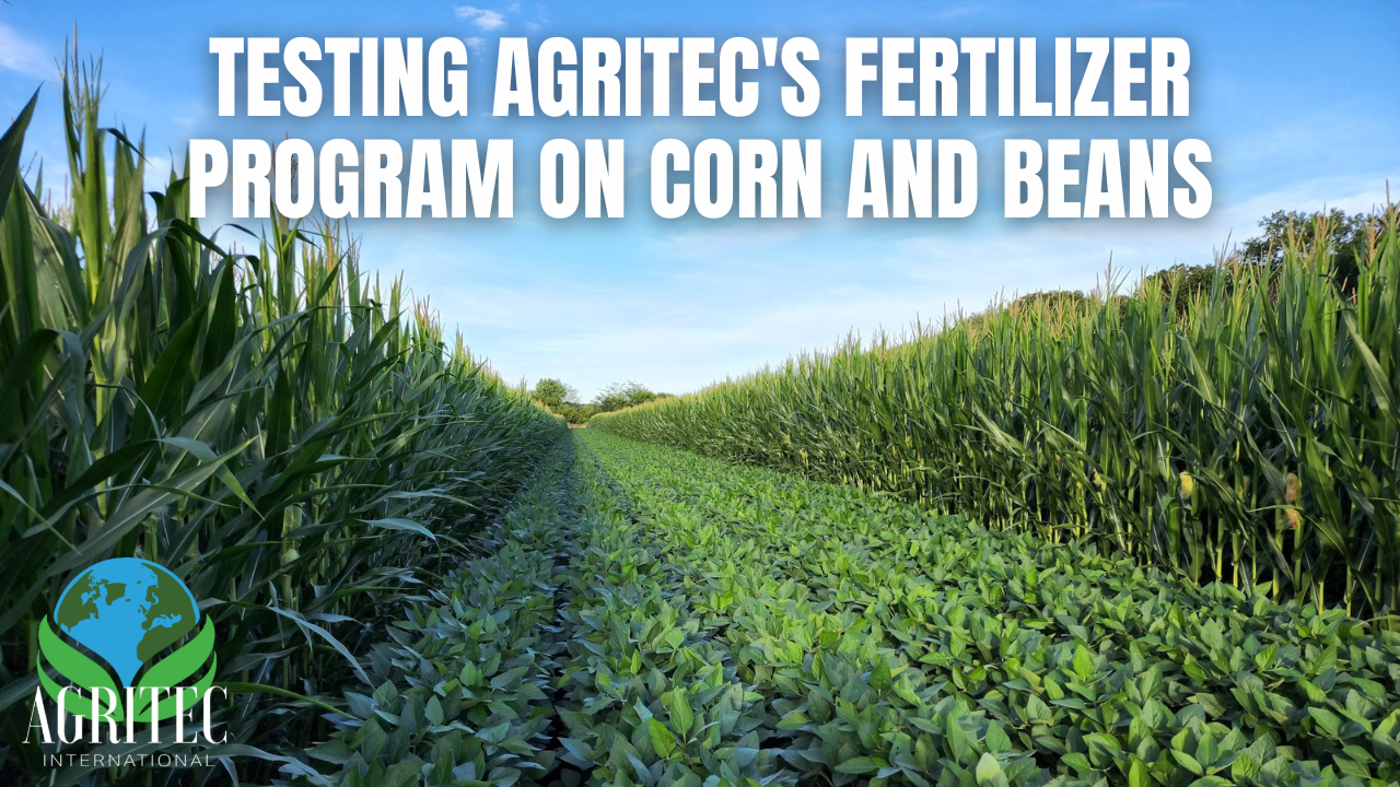 Testing AgriTec's fertilizer program on corn and beans
