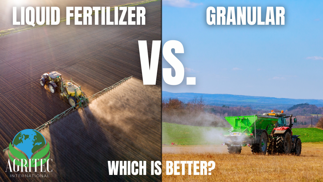 Liquid fertilizer vs. granular fertilizer | Which is better? 