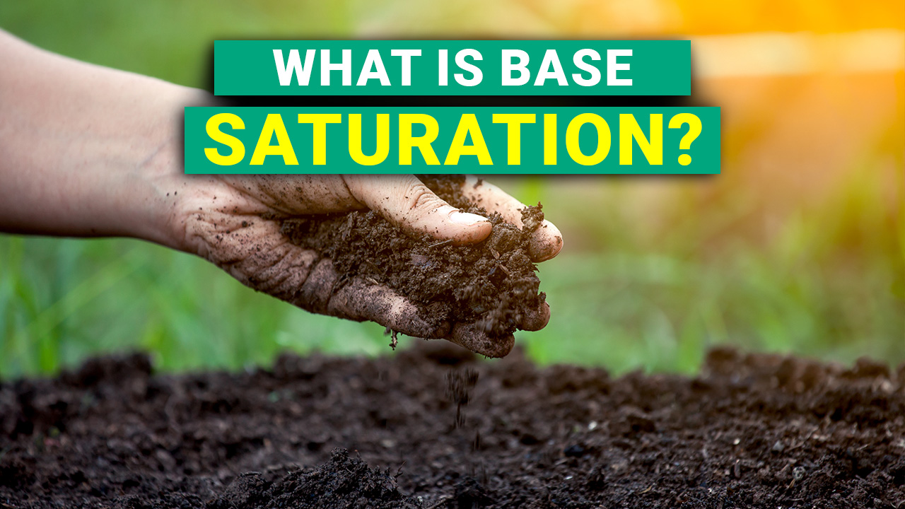 What is base saturation? AgriTec Liquid Calcium Fertilizer