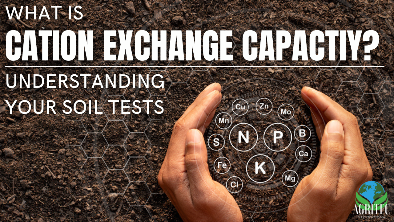 What is cation exchange capacity? | Understanding soil tests