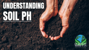 What is Soil pH and Why is it Important?